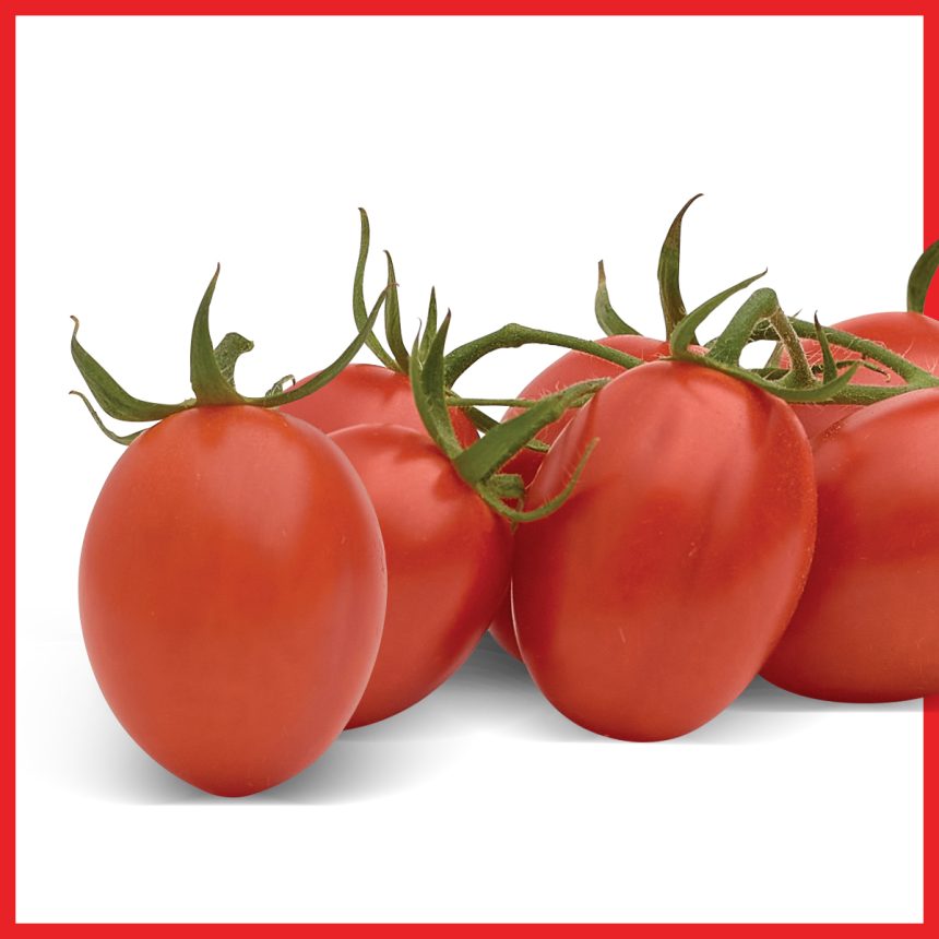 Semilla para Cultivo de Tomate Determinado Uva Sakata Ruby Crush